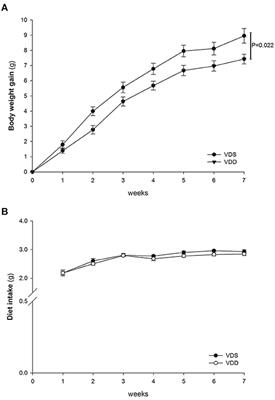 Effects of Vitamin D-Deficient Diet on Intestinal Epithelial Integrity and Zonulin Expression in a C57BL/6 Mouse Model
